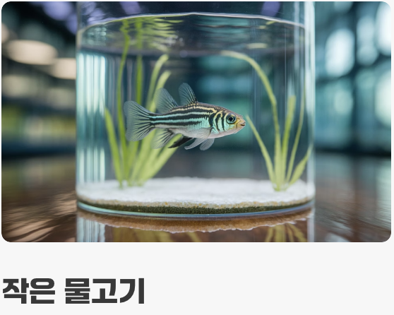 육식동물의 식사 시간 (먹이 가이드)