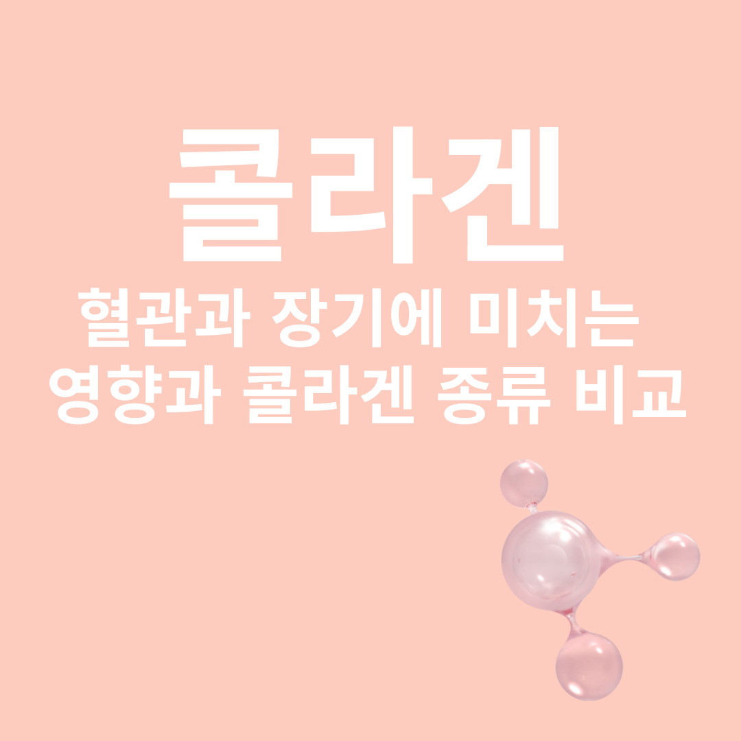 콜라겐과 관련된 이미지