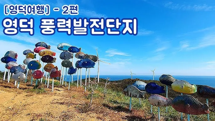 영천 가볼만한곳 베스트10 기억에 남을 멋진 명소 추천_4