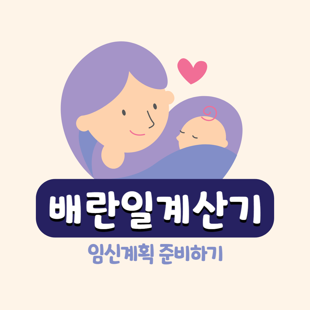 배란일계산기 임신계획 준비하기