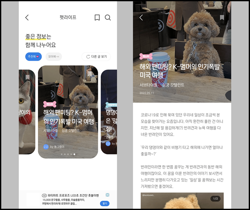 '펫 라이프' 입장 후 반려동물 관련 게시물 읽기