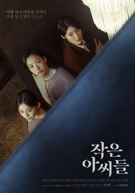 넷플릭스 작은아씨들 포스터