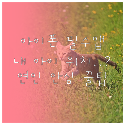 아이폰 유저를 위한 위치추적 앱 추천..