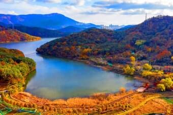단풍 여행