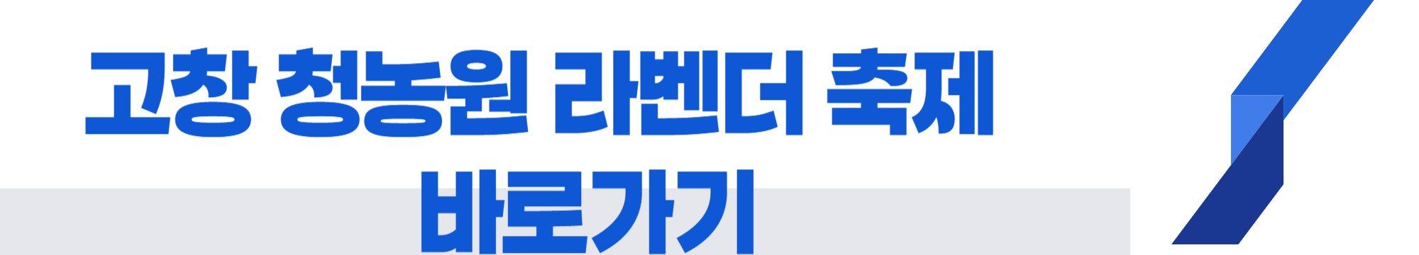 6월 축제