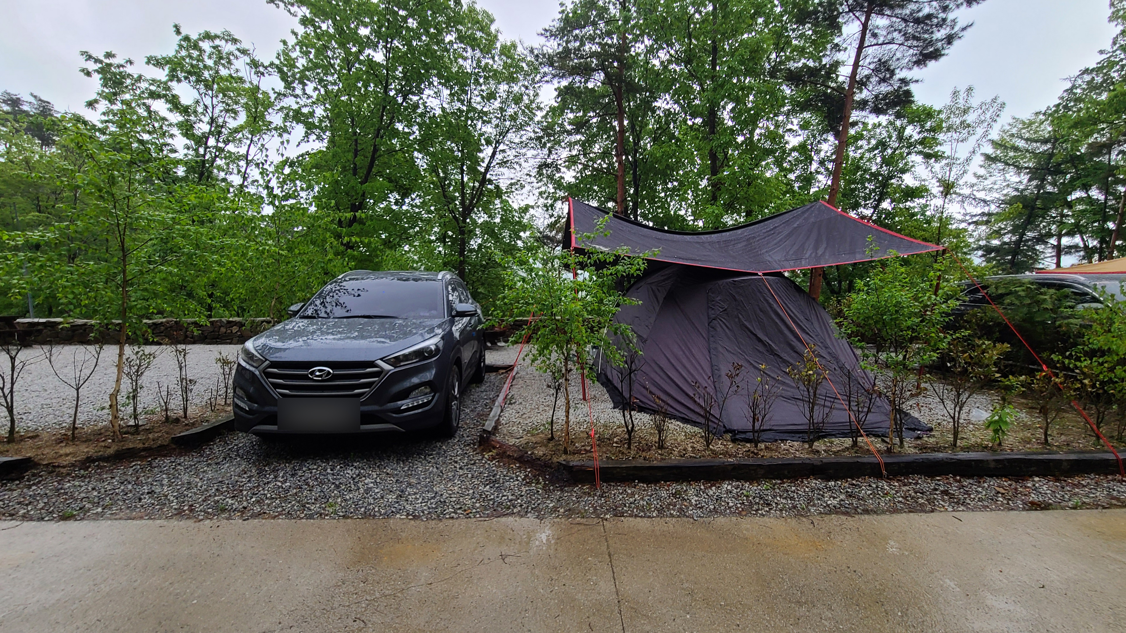 산중 숲속 오토캠핑장