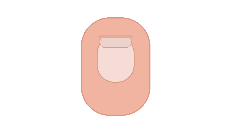 손톱 해부학 구조 총정리: 손톱판&middot;기질&middot;손톱바닥&middot;큐티클이 하는 역할까지