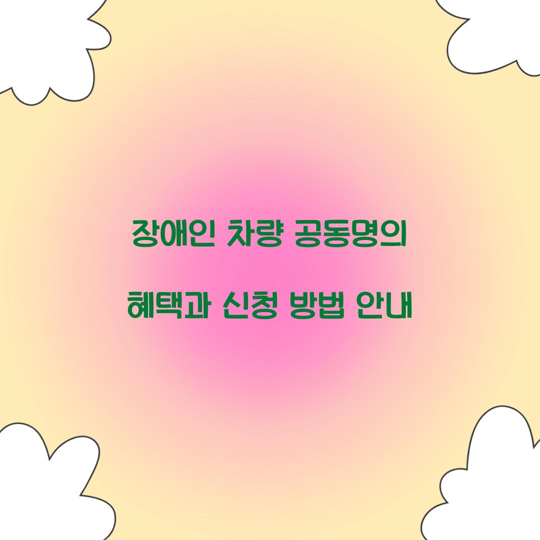 장애인 차량 공동명의