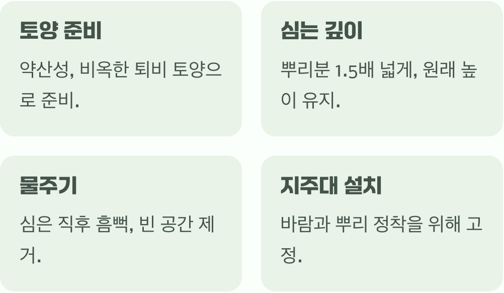 심는 것보다 중요한, '어떻게 심느냐'