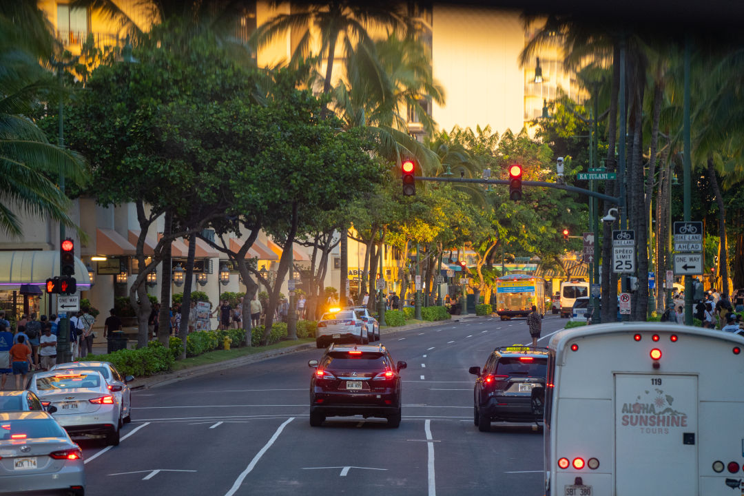 하와이 핑크 트롤리 이동 후기