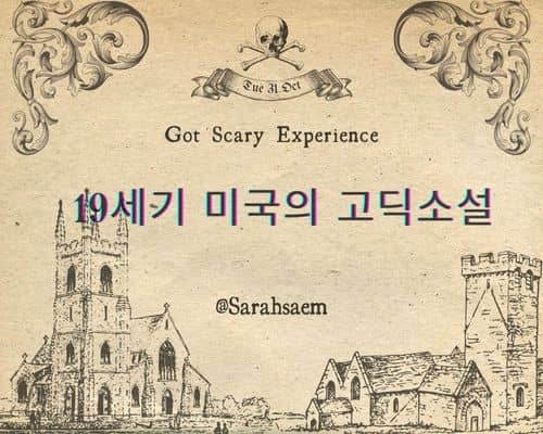 19세기 미국의 고딕소설