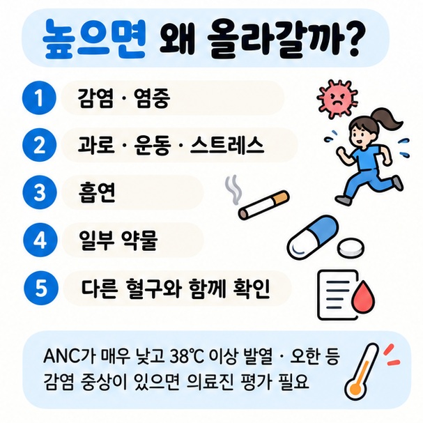 감염 염증 스트레스 운동 약물과 다른 혈구 수치를 함께 확인하는 호중구 증가 원인 체크리스트 이미지
