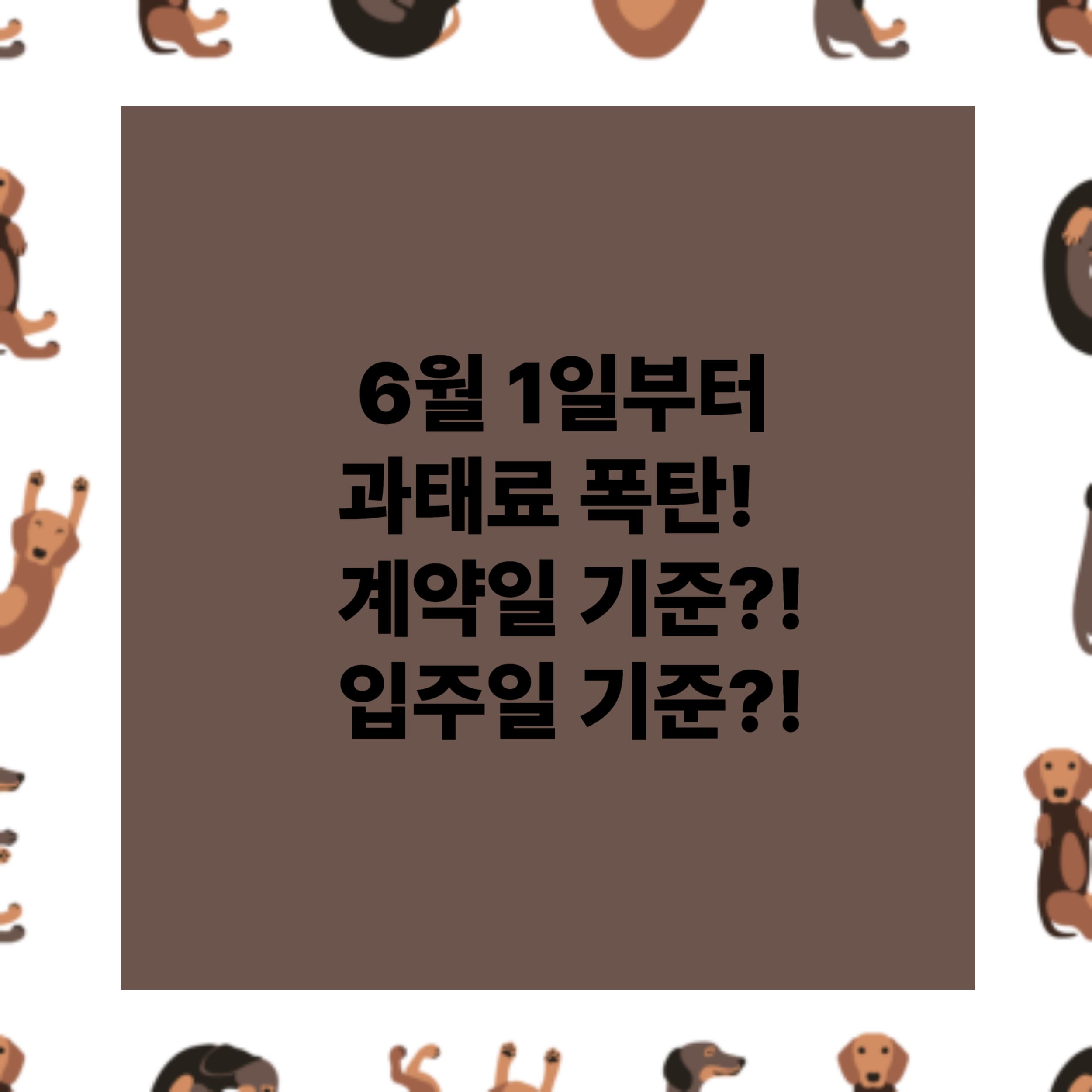 6월 1일부터 임대차 신고 안 하면 과태료!