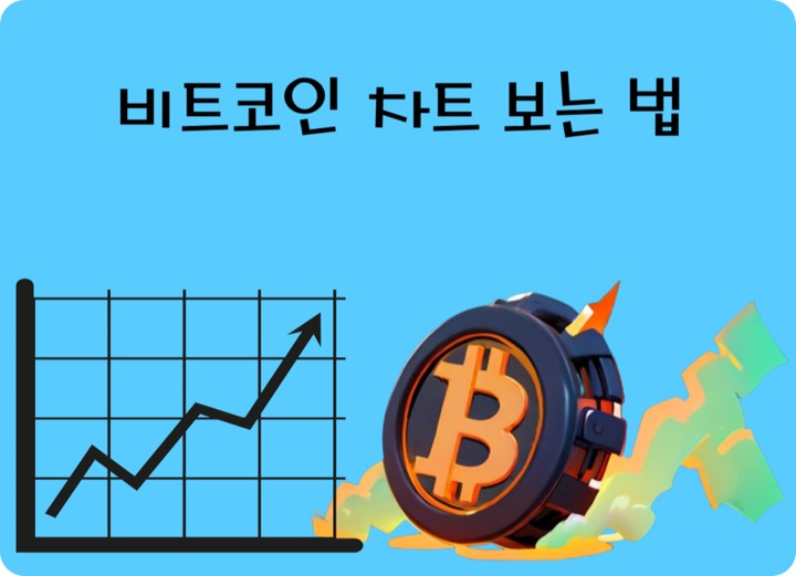 비트코인 차트 보는 법