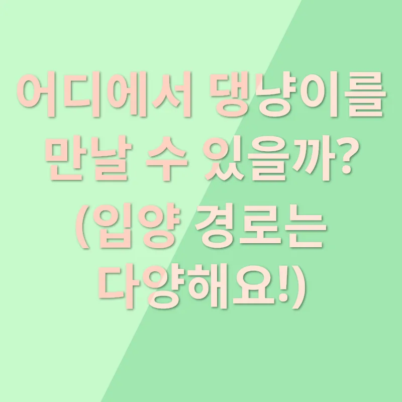 반려동물 입양_2