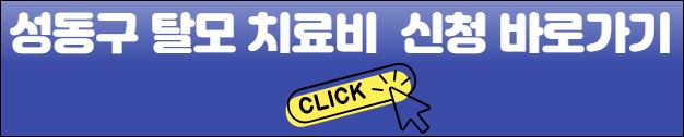 서울성동구 탈모치료비 신청바로가기