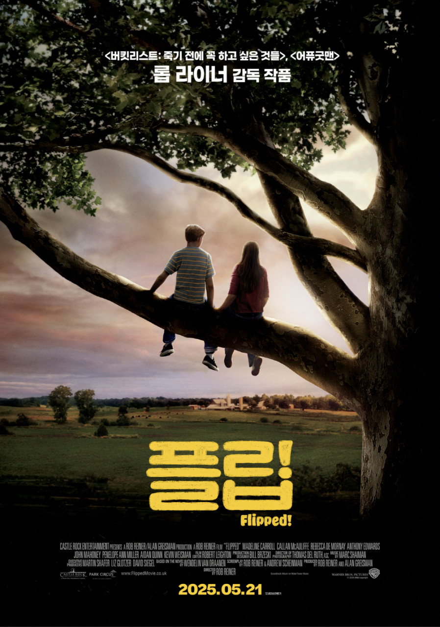 플립 다시보기 (명작, 성장, 감정선)