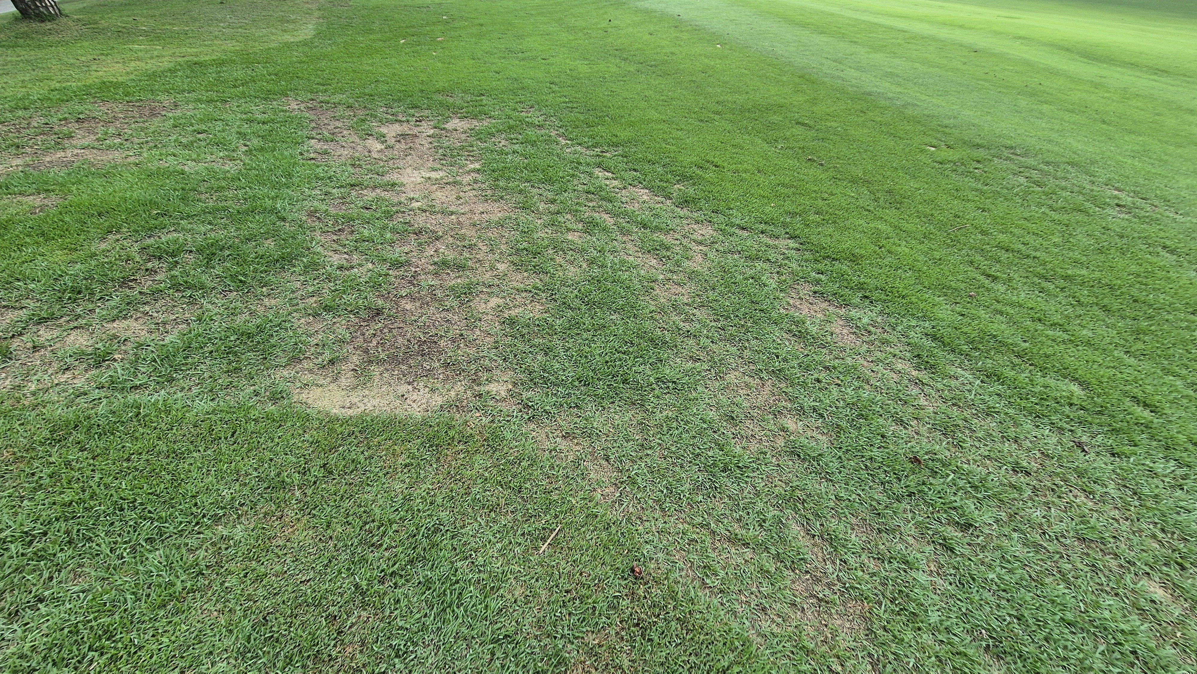 뉴스프링빌cc 라운드 후기