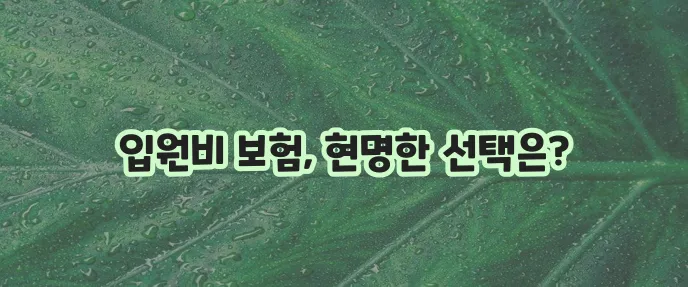 라이나생명 입원비 보험 비교 이제 꼼꼼하게 따져보세요!