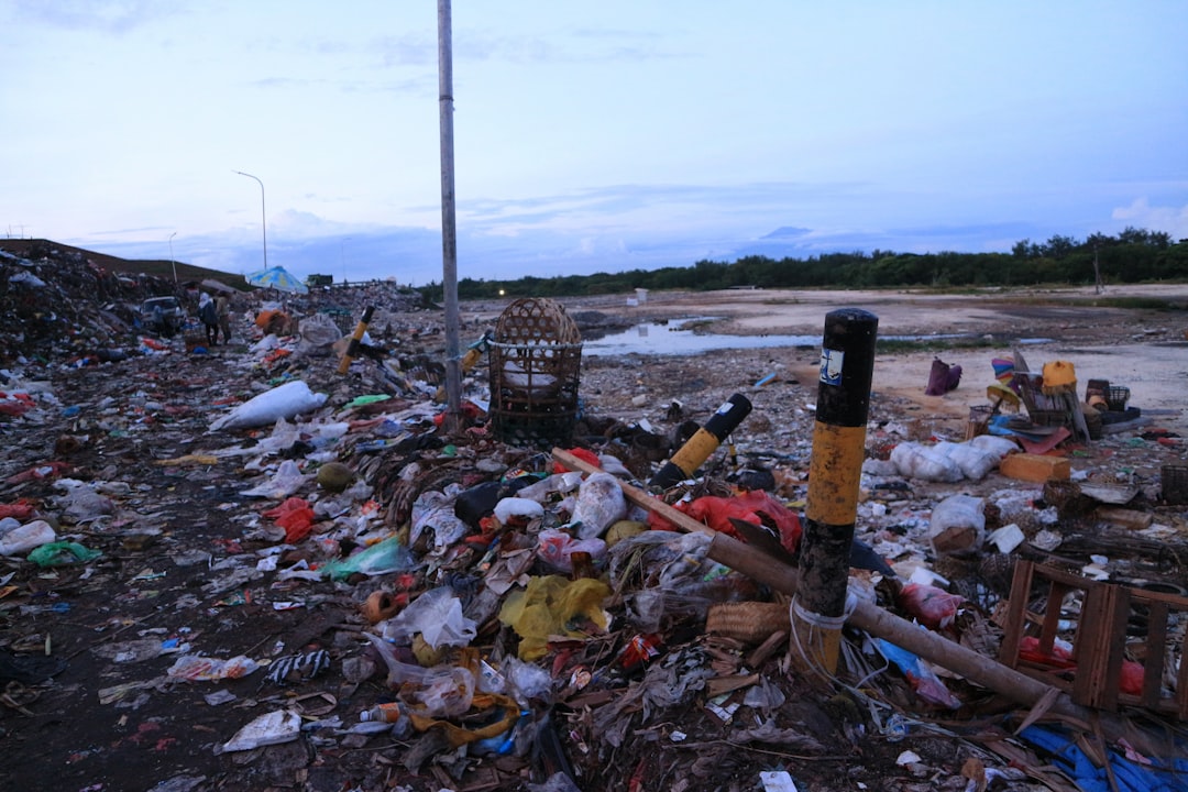 Dump