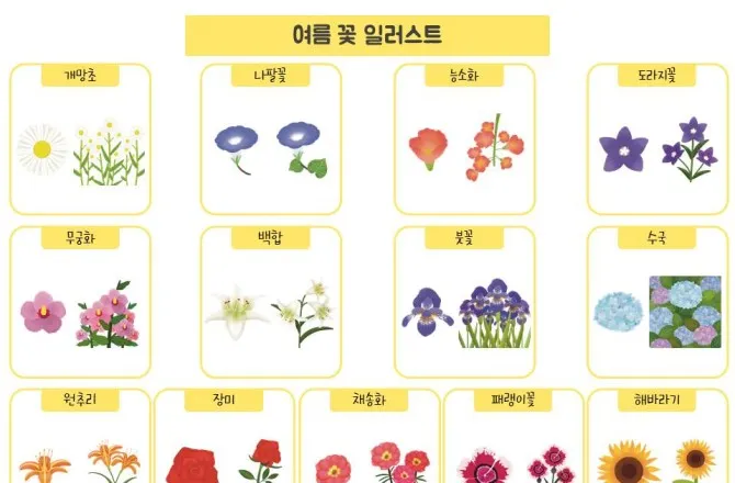 여름꽃 종류 모음 여름 꽃나무 추천 12가지 정리_7