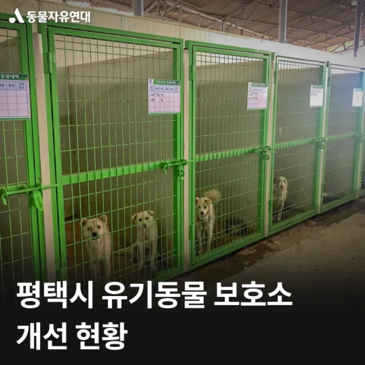 유기동물보호센터 갈 곳 잃은 천사들 희망 이야기_3
