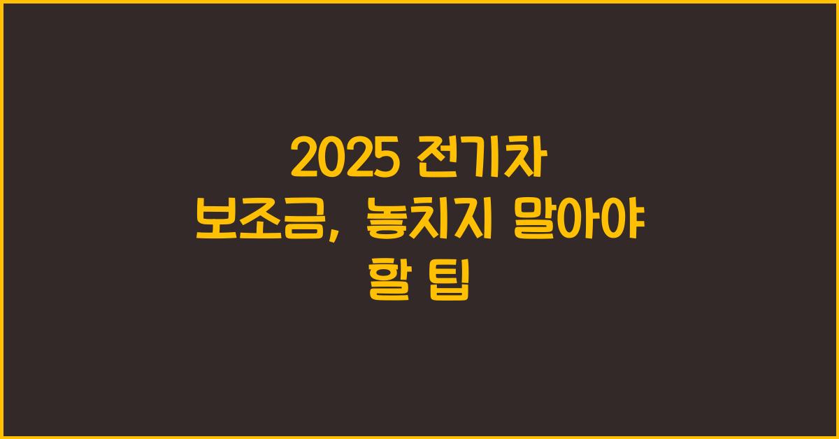 2025 전기차 보조금