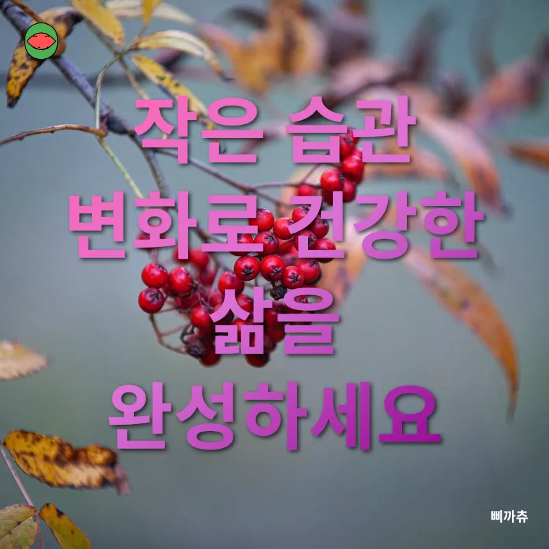 건강 관리_1_subsection