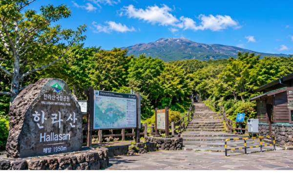 등산 앱 데이터로 뜯어보는 국내 명산 20곳 - 한라산
