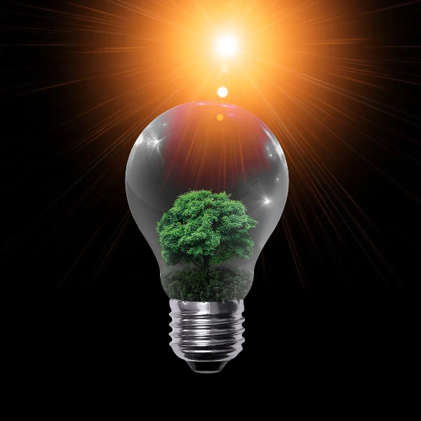 감정의 잔향은 우리를 지키기 위한 신호다.