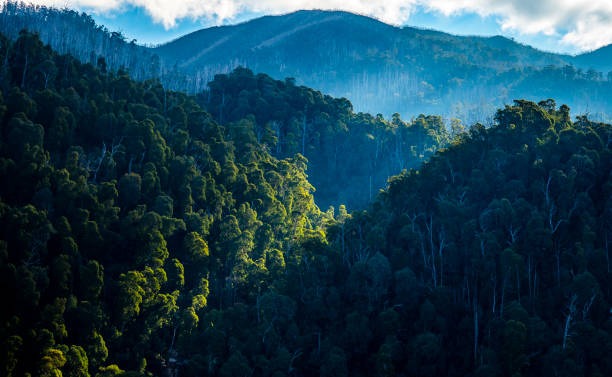 철원 두루웰 숲속문화촌