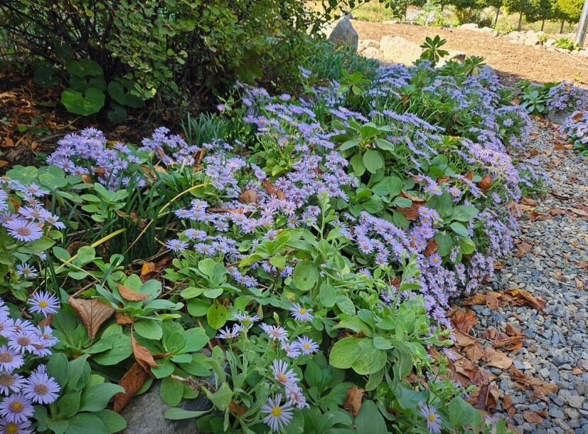 울릉도여행 울릉도배편 울릉도크루즈 울릉도 공항