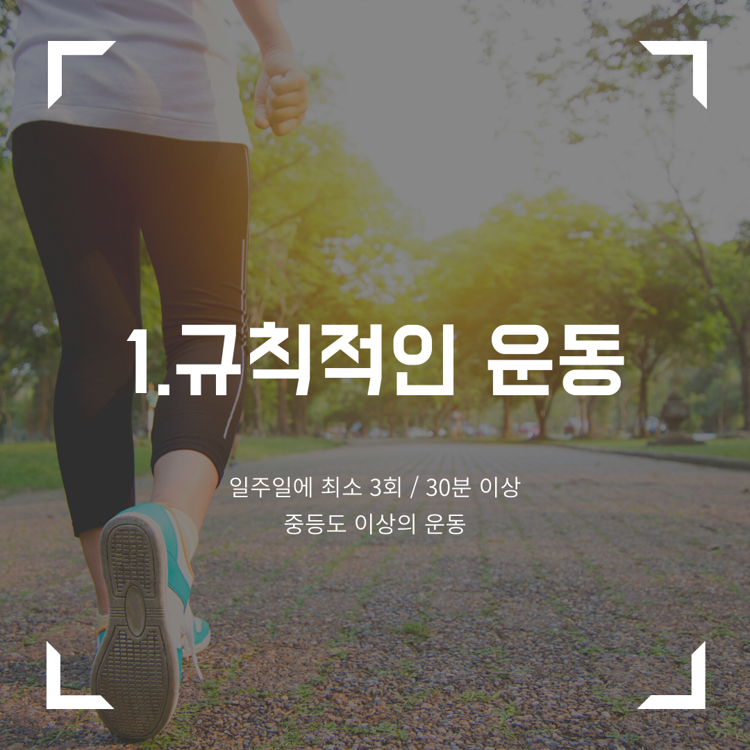 규칙적인 운동