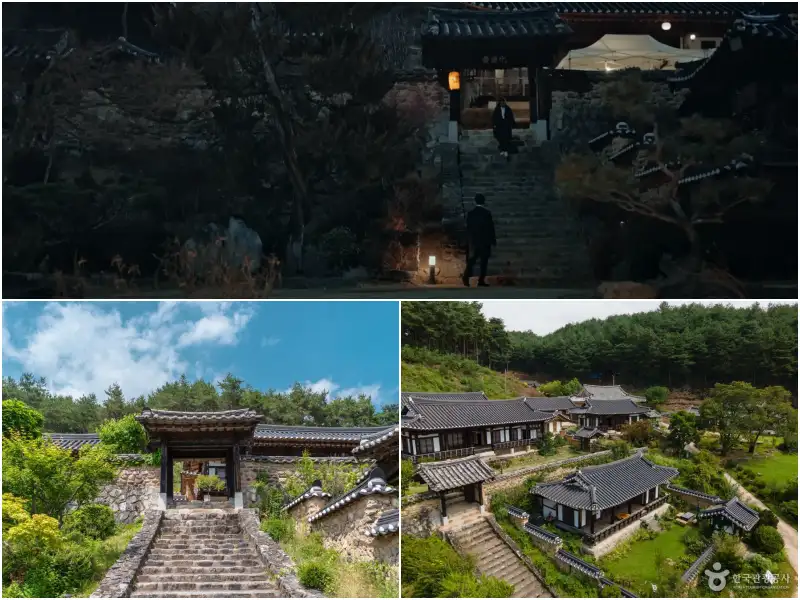 자연경관 높은 계단이 있는 전통 한옥을 배경으로 드라마 악귀 촬영을 했었던 안동 군자마을