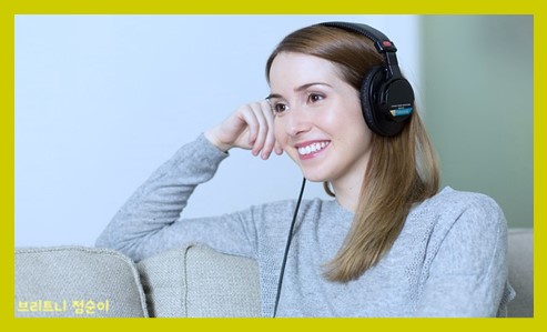 신경전달물질의 종류와 기능 사진