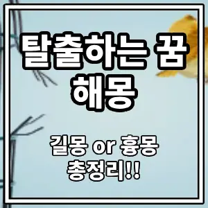 탈출꿈