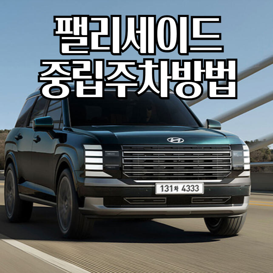 팰리세이드중립주차