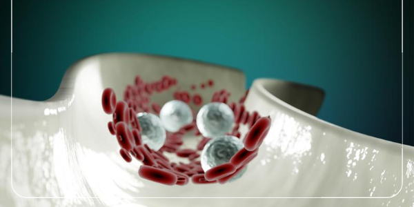 2콜라겐이 부족할 경우 혈관 벽이 딱딱해져 동맥 경화의 위험이 커질 수 있습니다