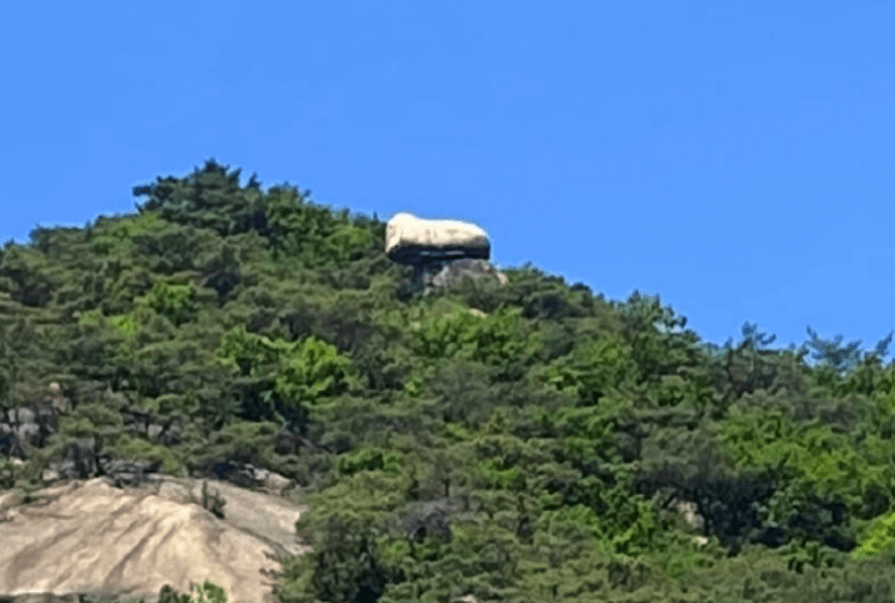 청와대 관람신청, 야간개장(야간관람신청)