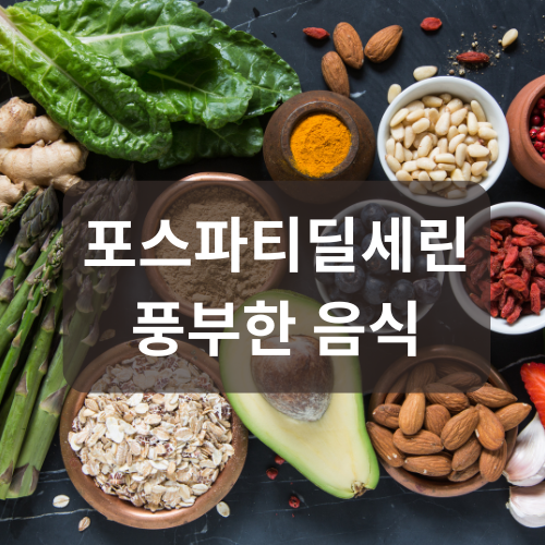 포스파티딜세린 풍부한 음식 썸네일