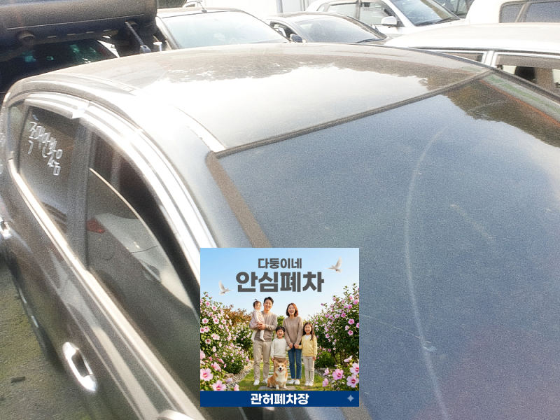 번호판 영치 이력 차량 원부상 권리관계 확인