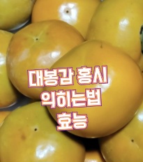 대봉-홍시-효능