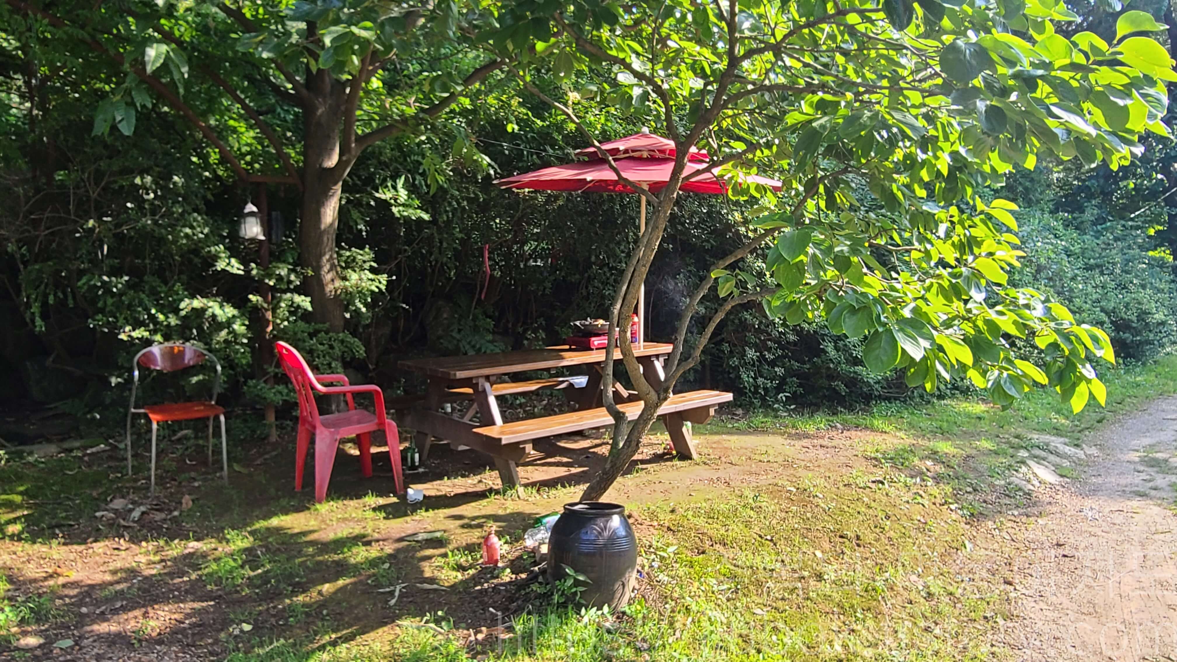 푸른농원-마당-4