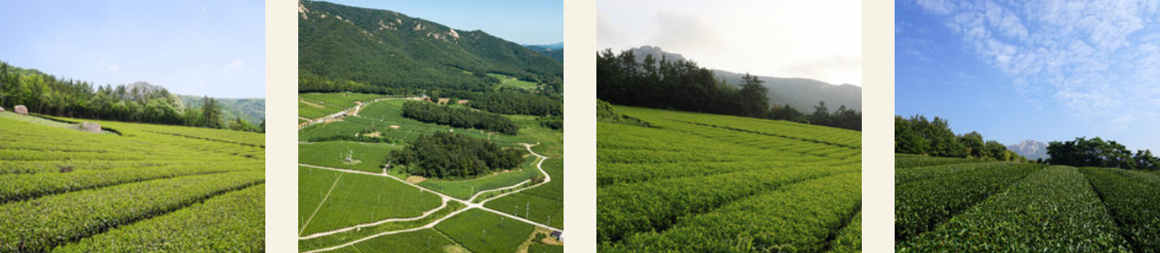 강진 반값 여행 코스 추천