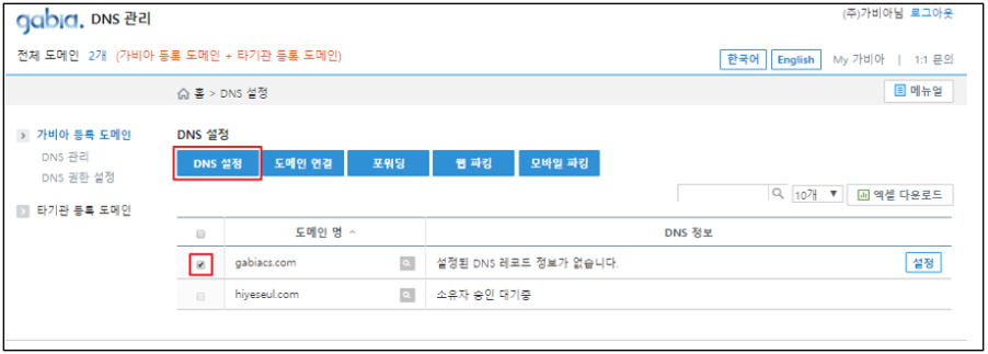 DNS-설정-선택