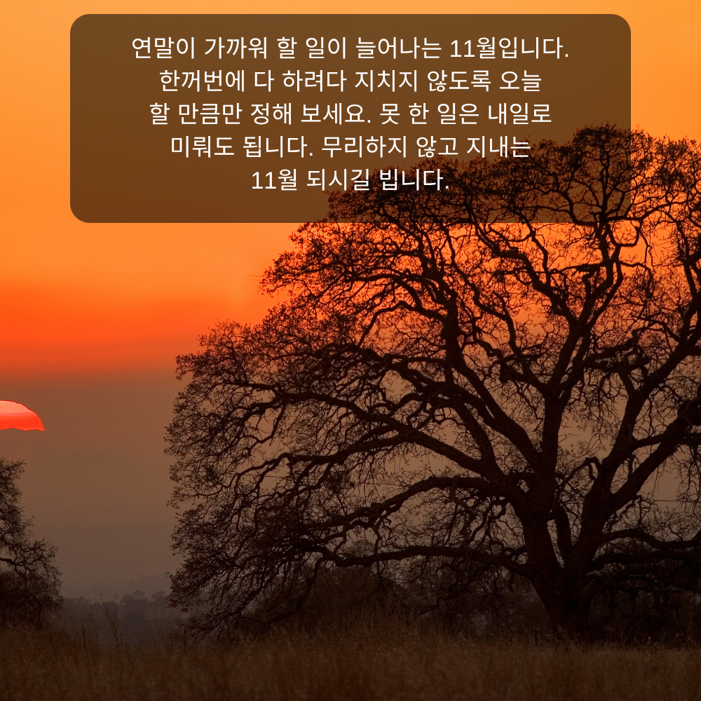 11월 인사말 24 연말 앞둔 11월 무리하지 않는 인사말 이미지