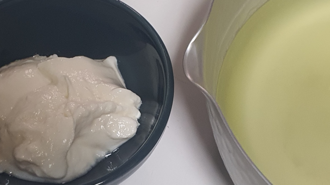 유청이 덜 빠진 요거트에 유청을 다시 부어 살펴보려하는중