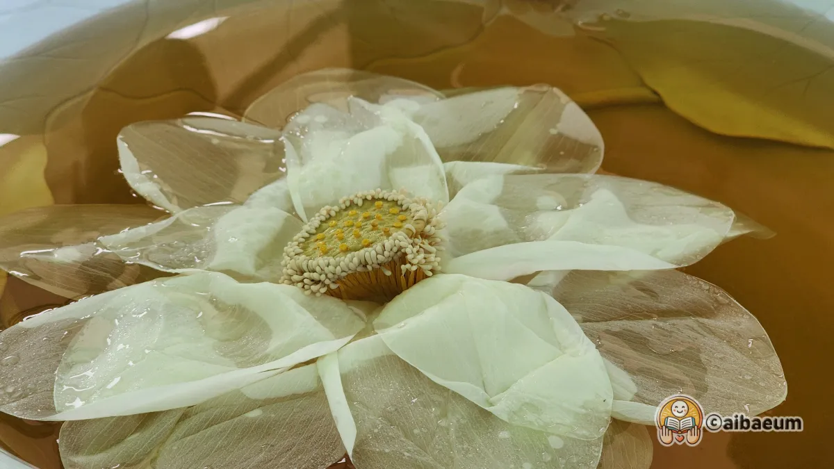 연꽃잎차-연꽃을 우려내어-마시는-차를-우려내고-있다