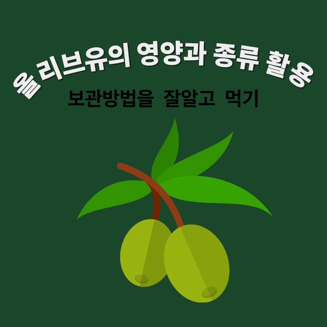 올리브유의 영양과 종류 활용