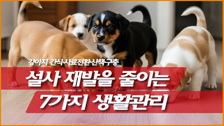 설사 재발을 줄이는 7가지 생활관리 (간식&middot;사료전환&middot;산책&middot;구충)